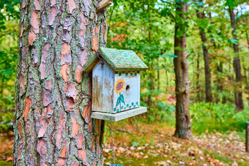 Quaint Sunflower Birdhouse in Lush Ohio Forest Close-Up