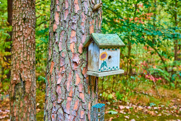 Sunflower Birdhouse in Lush Forest Eye-Level Perspective