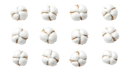 Set of cotton on a transparent background. isolated background.