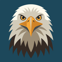 Fototapeta premium eagle head vector