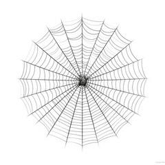 Obraz premium Intricate Spider Web Design Captured in High Detail, Showcasing the Natural Beauty and Geometry of Nature's Web with a Central Dew Drop