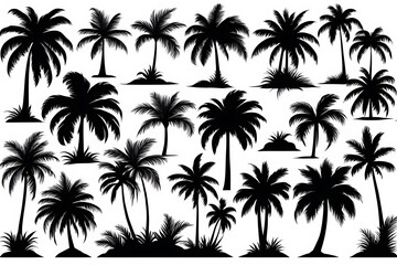 Palm trees silhouettes. Tropical leaves, retro palms tree and vintage silhouettes. Coconut palm, exotic lush sketch or hawaii coco palms. Vector illustration isolated icons set