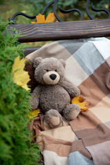 Teddy bear sitting alone on the bench in the park, looking at the distance. Nearby is a plaid shawl
