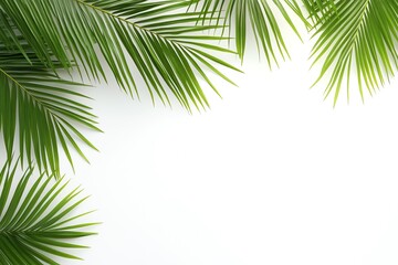 Fototapeta premium Green palm leaves arranged in a corner border on white background.
