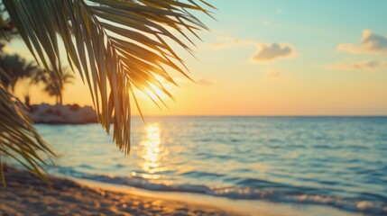 Sunset illuminates frayed palm leaves on a serene beach.