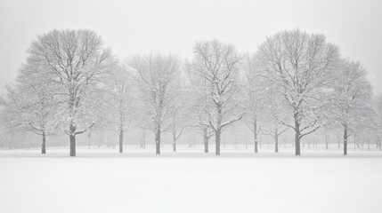Obraz premium Snow-laden trees frame a solitary park bench in a serene, wintry setting.