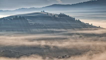 Naklejka premium Foggy morning in the valleys of the Pieniny national park, Slovakia.
