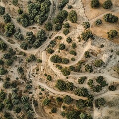Winding dirt roads aerial view rural landscape natural environment scenic trails for adventure lovers