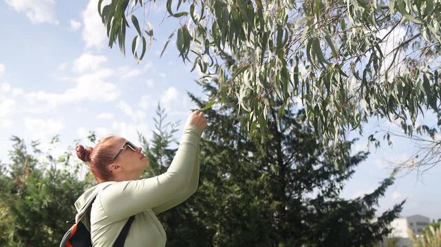 A beautiful red-haired woman in sunglasses walks in the park and sniffs eucalyptus leaves on a sunny day