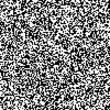 small black and white squares arranged in a completely random pattern on screen that look like a secret code