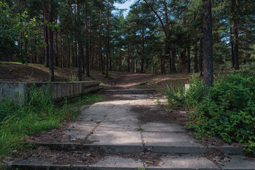 Concrete steps leading into a forested path