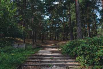 Obraz premium Concrete steps leading into a forested path