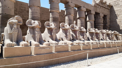 Alley of sphinx statues with ram heads