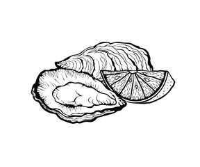 Vector illustration of oysters