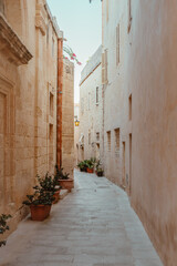 Pflanzen In den engen Gassen von Mdina der früheren Hauptstadt von Malta 
