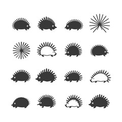 Fototapeta premium A Collection of 12 Simple Hedgehog Silhouettes and Two Sunburst Designs
