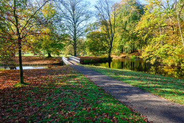 Autunno nel Parco a L'Aia, Den Haag, Paesi Bassi