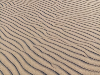 Ondas en la arena de la playa durante la bajamar