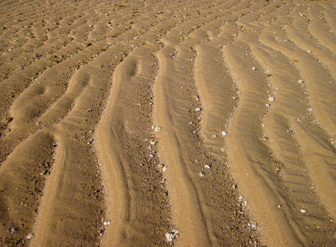 Ondas en la arena de la playa durante la bajamar