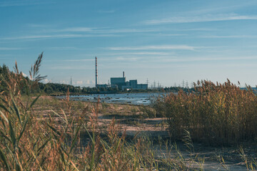 Industrial power plant by the beach with coastal vegetation