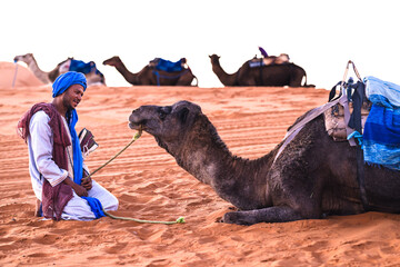 A guide wearing tuareg traditional robe and turban sitting in front of a camel looking into his...