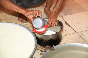 Karni Mata - Der berühmte Rattentempel in Indien
