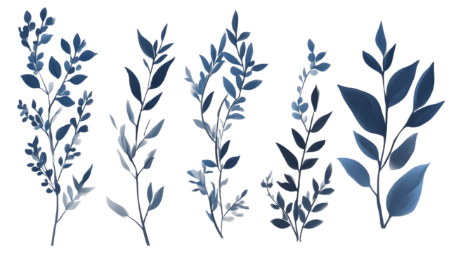 Sleek geometric botanical accents stylish on a transparent background. isolated background.