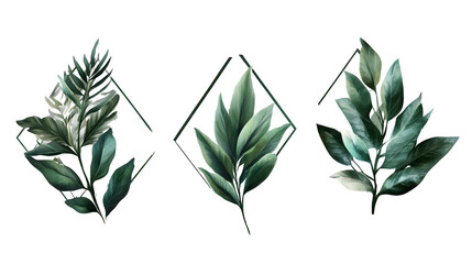Sleek geometric botanical accents stylish on a transparent background. isolated background.