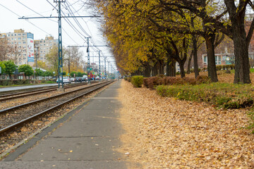 Fototapeta premium autumn in the city
