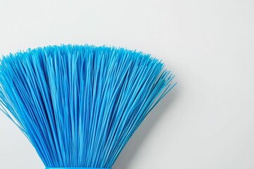 Blue bristles on a white background.