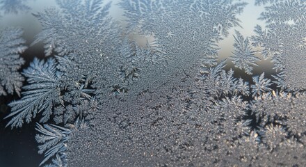 Close-up of frost patterns on winter window