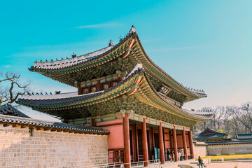 Fototapeta premium Images taken spring in South Korea during Cherry Blossom season 2024.