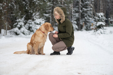 Beautiful young girl walking with a purebred retriever near a snowy forest in winter.