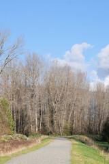 Obraz premium Island 22 Regional Park along Fraser River during a fall season in Chilliwack, British Columbia, Canada