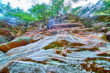 Textured Rock Face and Foliage in Hocking Hills Upward View