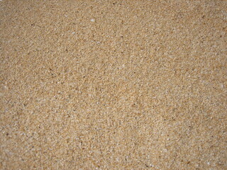 Hawaiian sand texture background on Maui