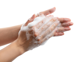 Soaping hands isolated on white background, cut out 