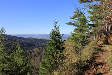 Wanderung am Albtrauf