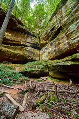 Sandstone Cliff and Lush Forest Canopy at Cantwell Cliffs Vertical View