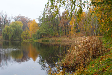 autumn in the park, landscape of an autumn park with a lake