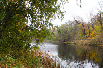 landscape of an autumn park with a lake