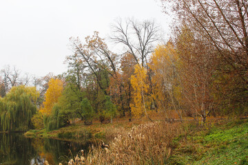 Obraz premium autumn landscape, lake in the autumn forest, autumn day