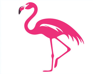 Minimalistic Flamingo in Pink on White, Elegantly Standing on One Leg