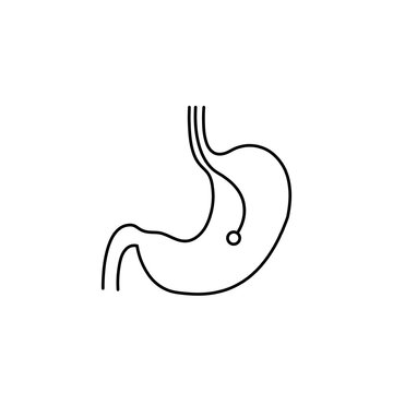 stomach outline with medical tube clip art preview