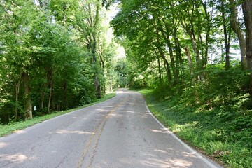 The empty road in the countryside on a summer day.