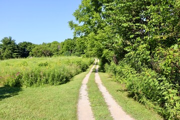The long trail in the field on a sunny day.
