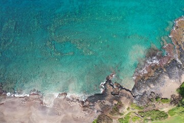Maui forest meets the lava rocks and ocean