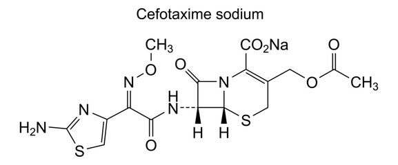 Chemical structure of cefotaxime sodium, drug substance