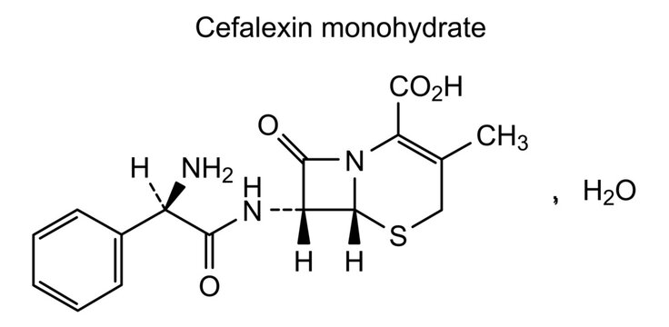 Chemical structure of cefalexin monohydrate , drug substance