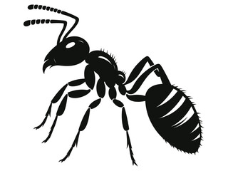 Ant vector shilloutee illustration with white Background 
